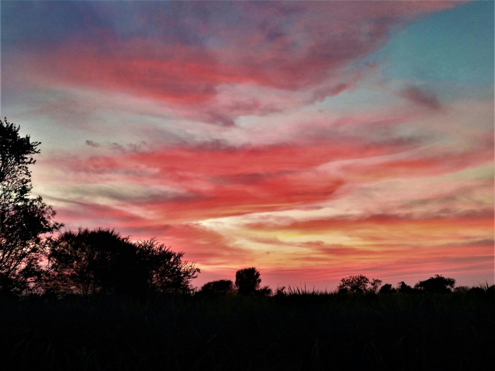 import placeholder for 35 import placeholder for 35