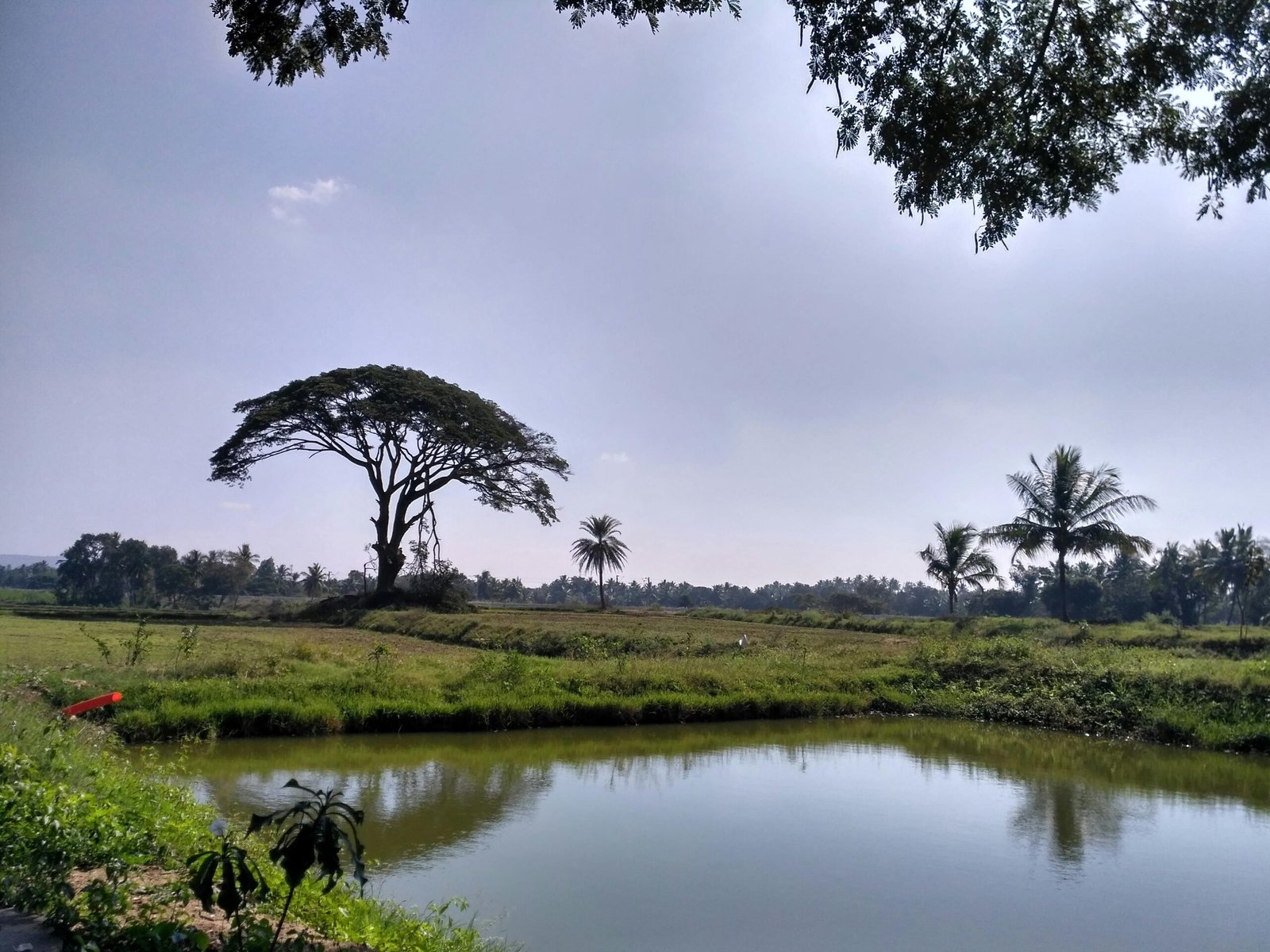 import placeholder for 37 import placeholder for 37