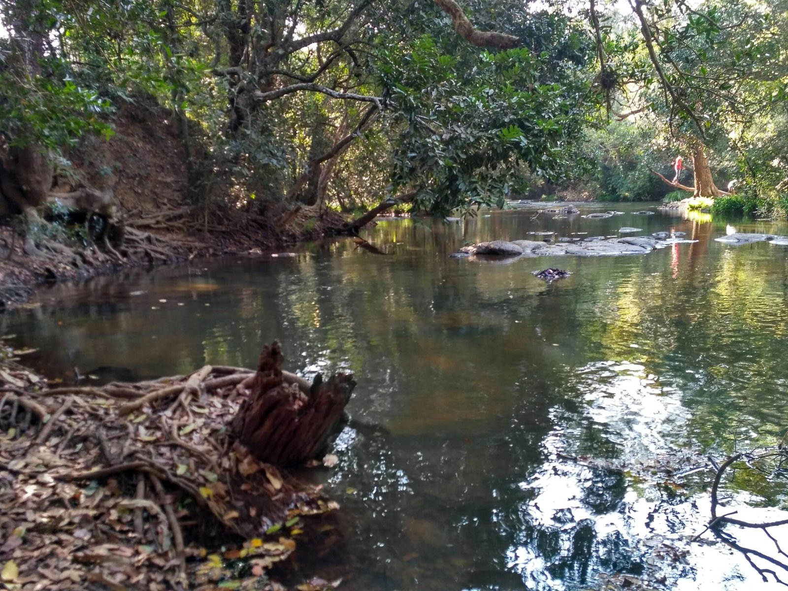 import placeholder for 39 import placeholder for 39