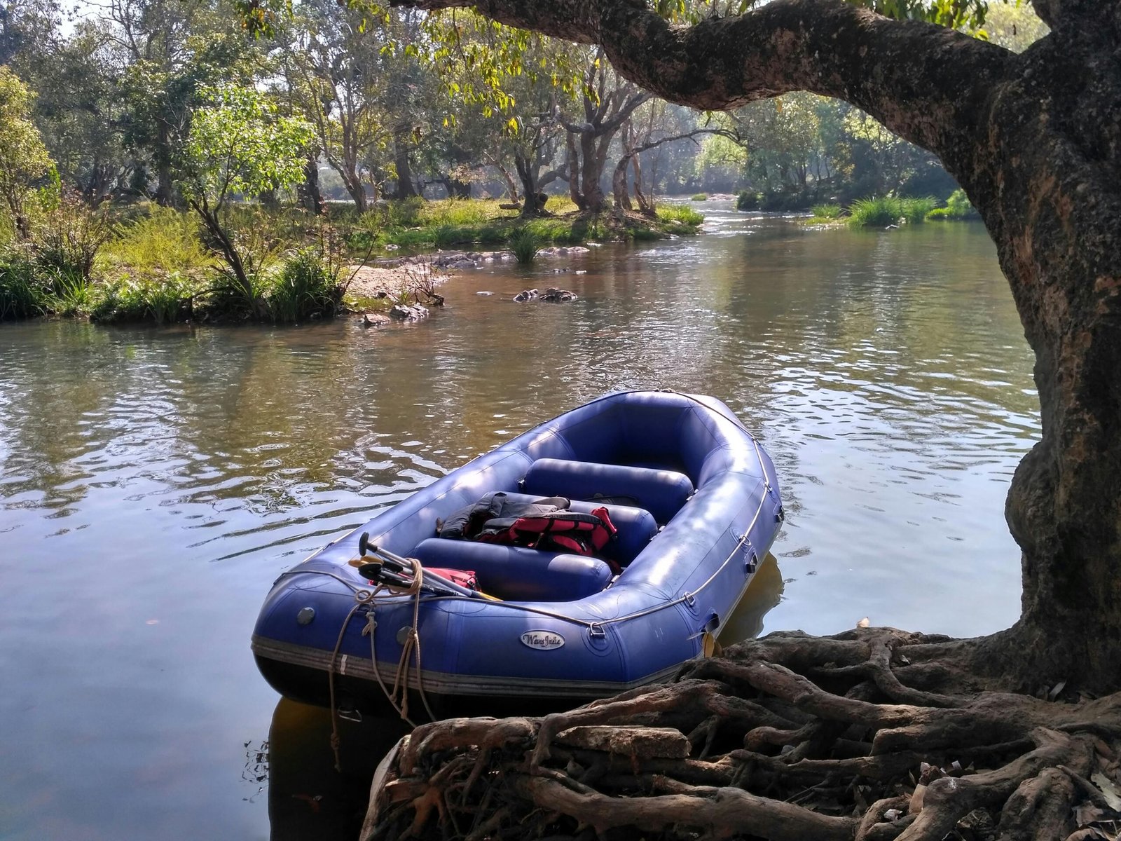 import placeholder for 40 import placeholder for 40