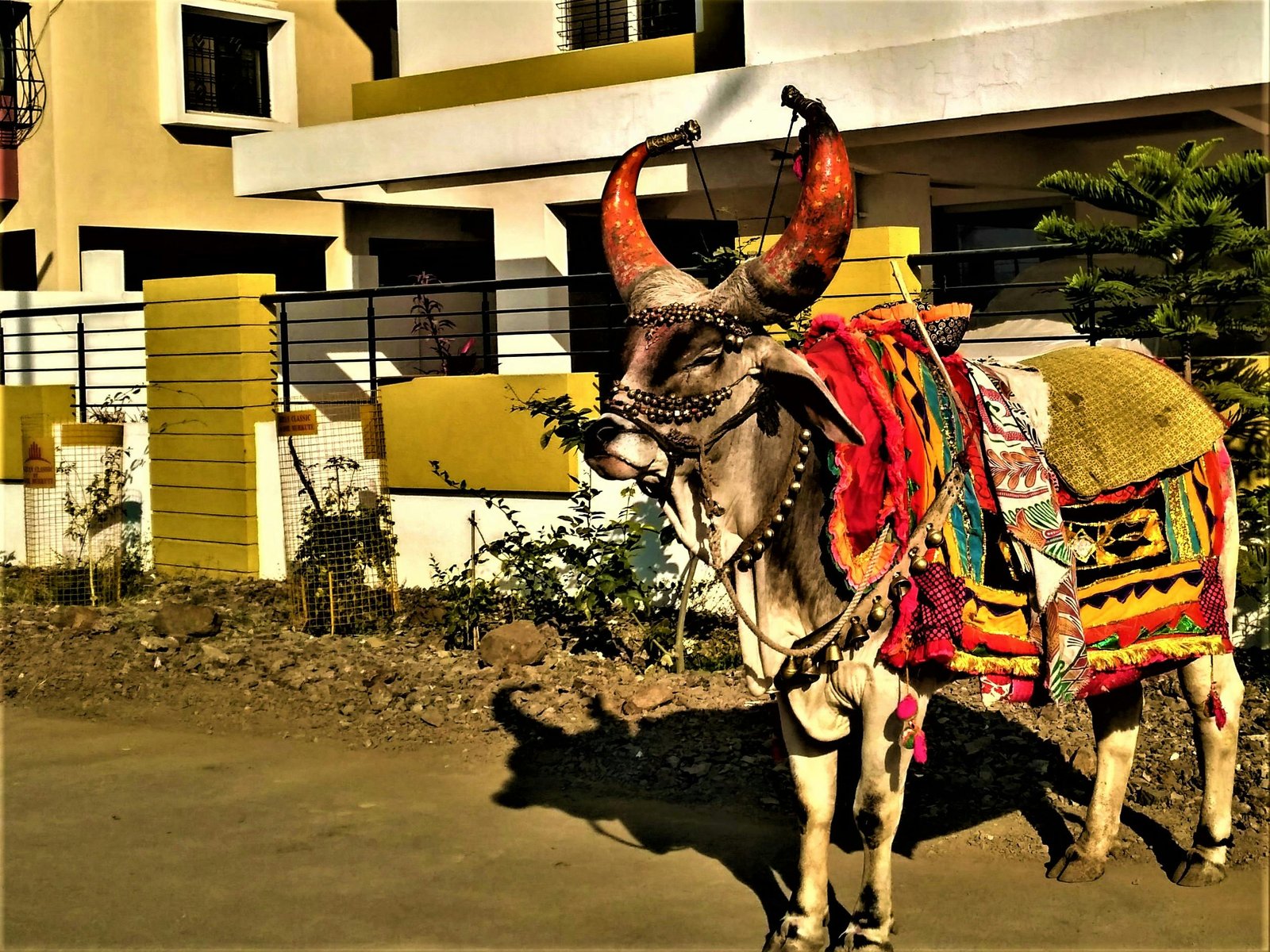 import placeholder for 47 import placeholder for 47