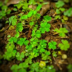 import placeholder for 9