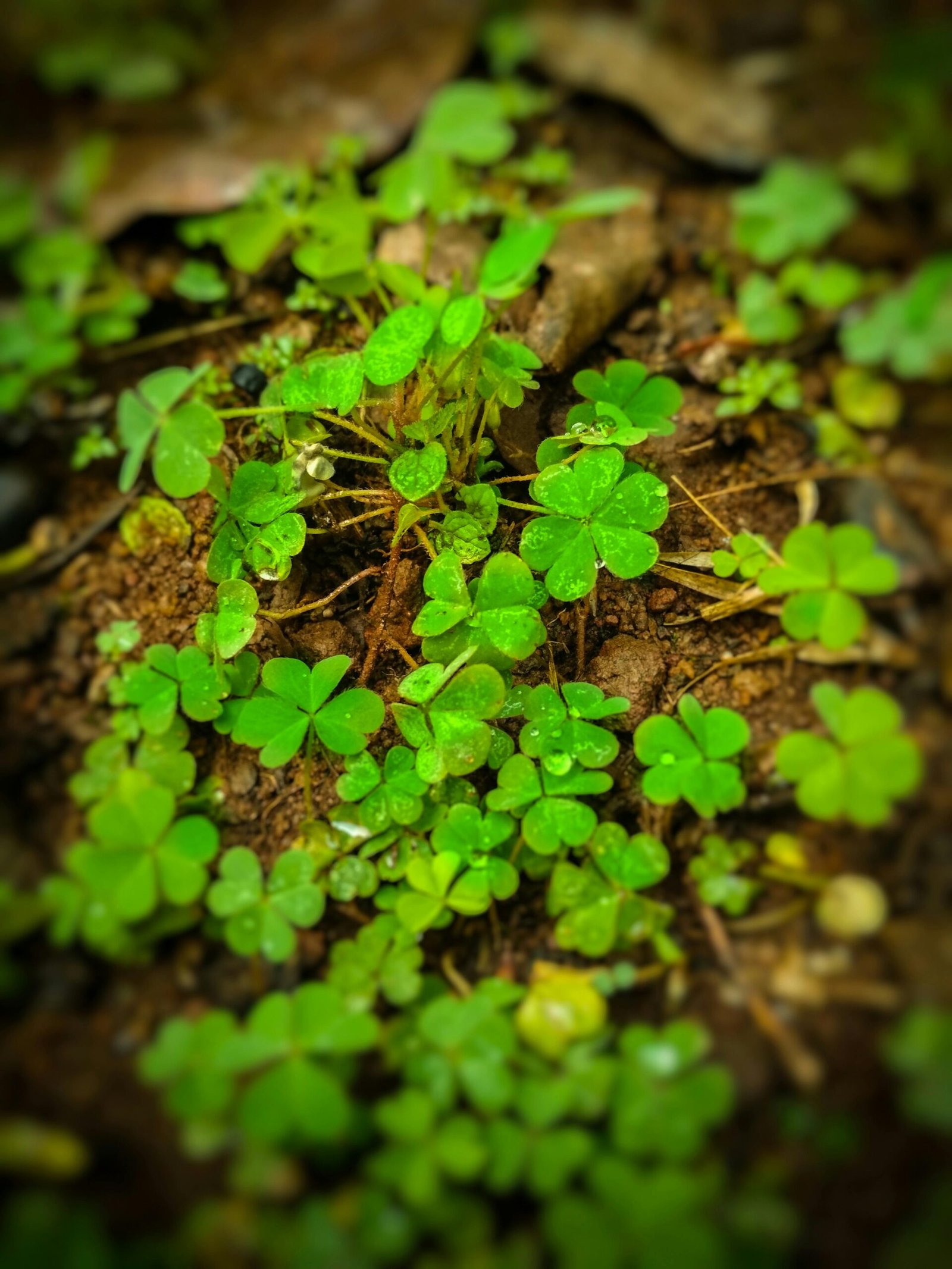 import placeholder for 9 import placeholder for 9