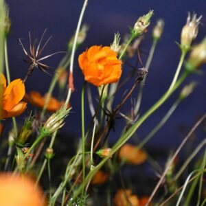 import placeholder for 10